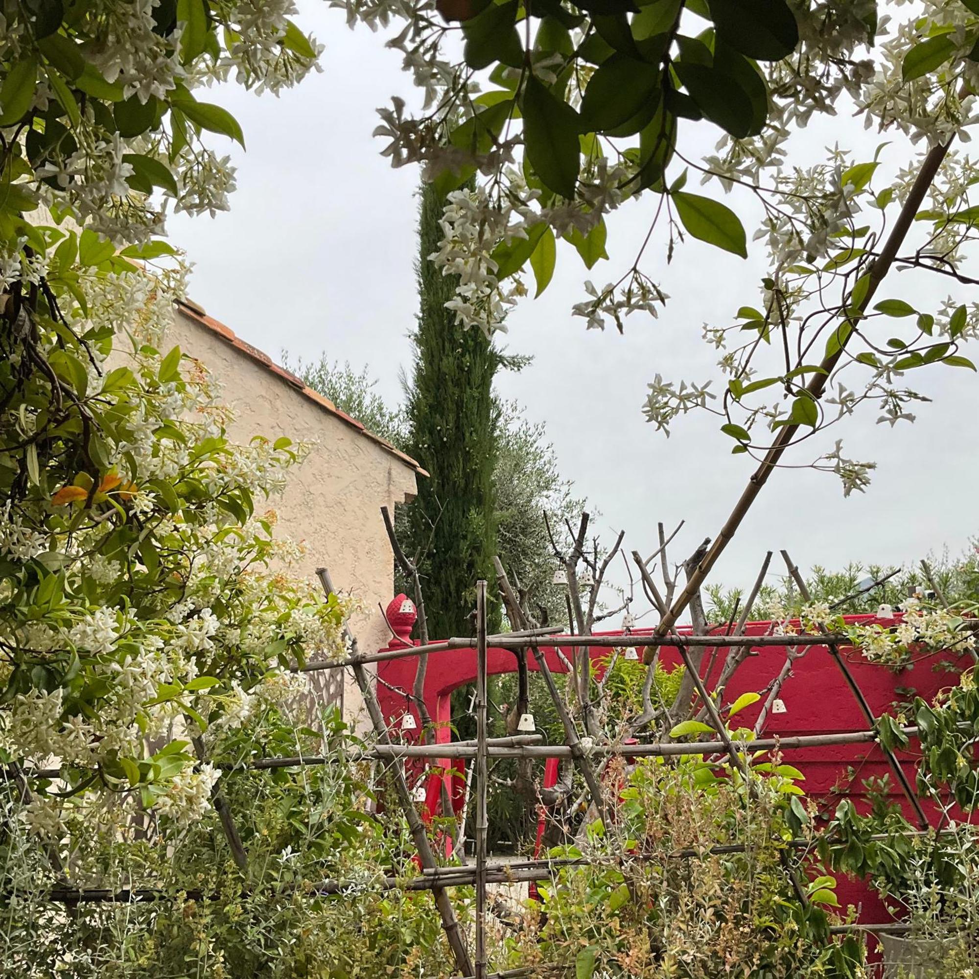 Mas De Provence En Riviera Hotel La Roquette-sur-Var Eksteriør billede