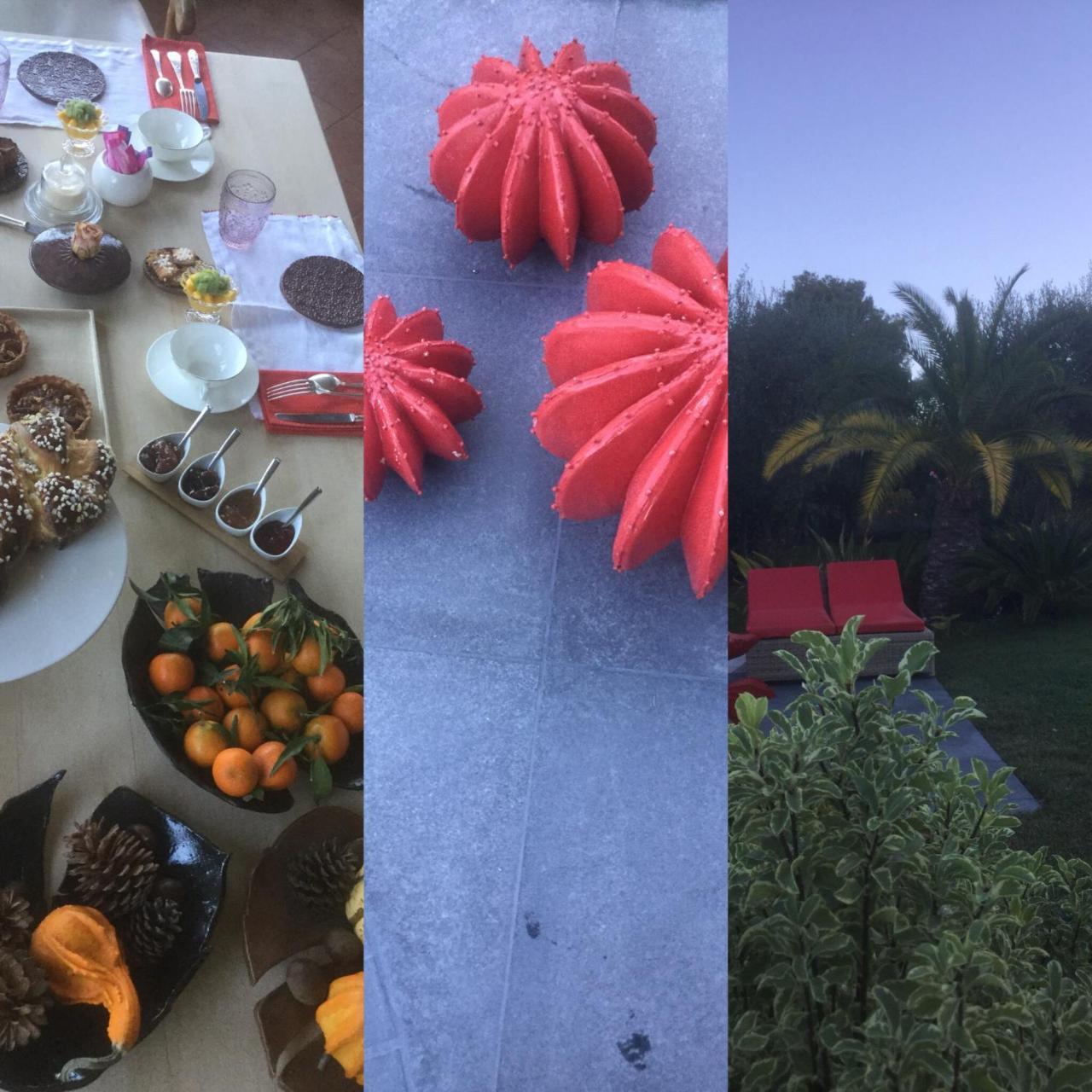 Mas De Provence En Riviera Hotel La Roquette-sur-Var Eksteriør billede